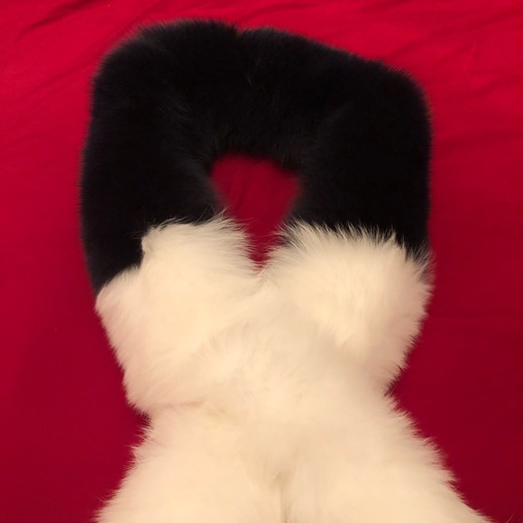 FOX - Picture 3 of 16